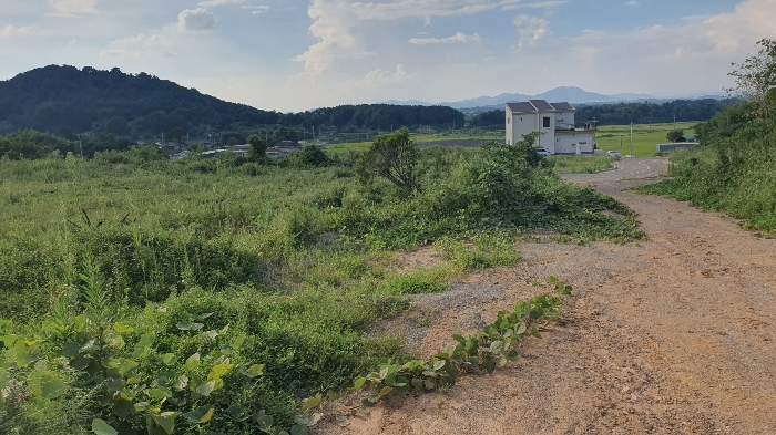 【 일련번호 1