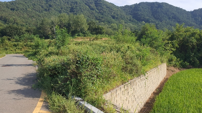 【 일련번호 1