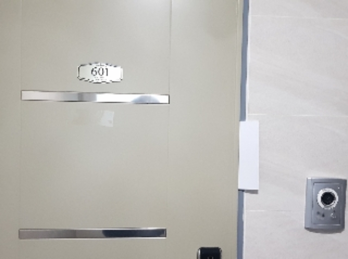 세대현관문(601)