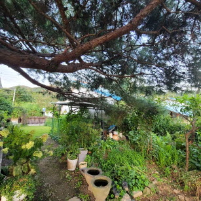 목록2 토지 전경(일부 밭으로 이용중임)