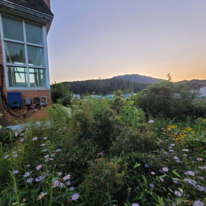 목록2 토지 전경