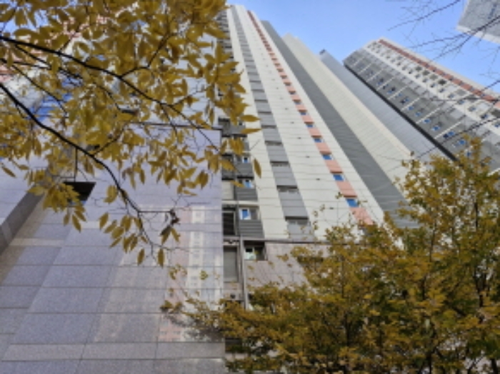 건물 전경
