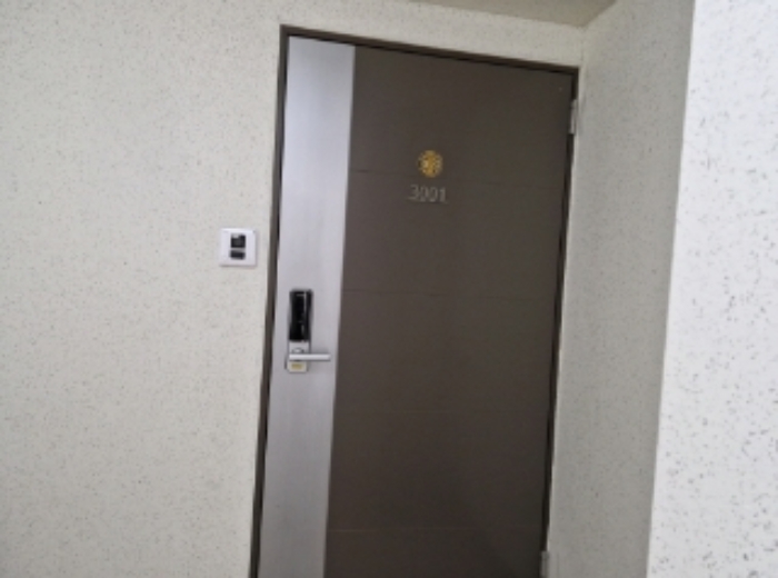 세대 현관문