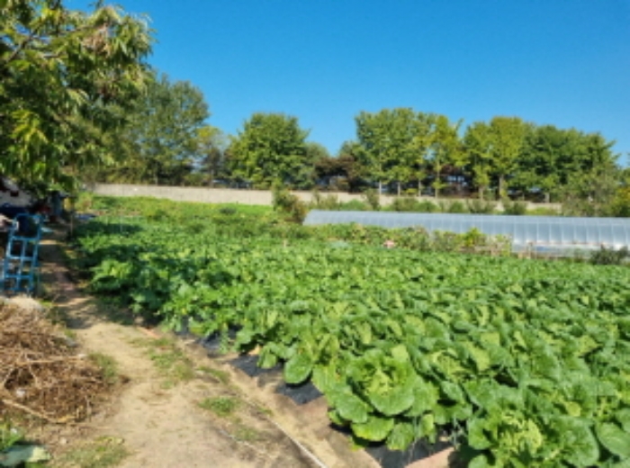 2목록 전경(비닐하우스 있는 곳 제외)