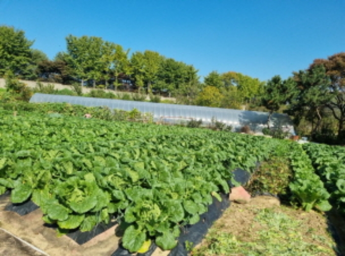 2목록 전경(비닐하우스 있는 곳 제외)