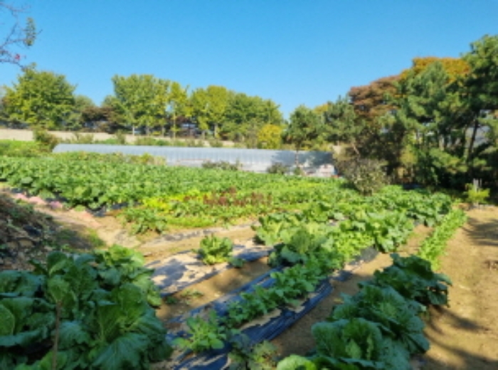 2목록 전경(비닐하우스 있는 곳 제외)