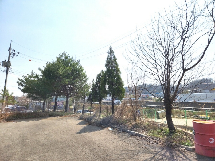 기호6 지상 조경수목