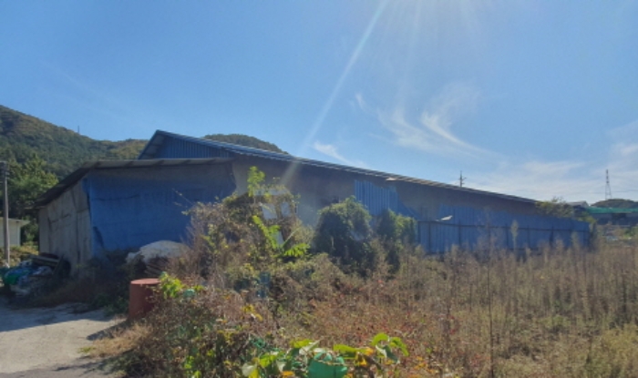 현장사진(토지:학동리 145, 건물후면 전경)