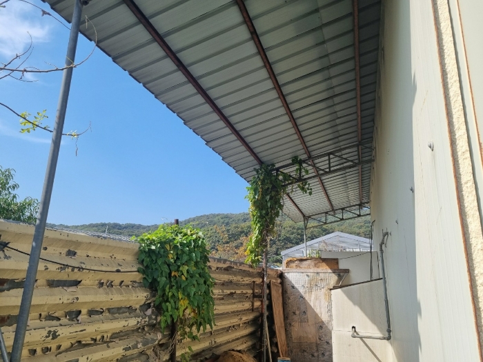 제시외건물(ㅇ)