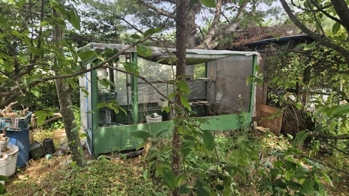 제시외건물 ㉥, ㉦