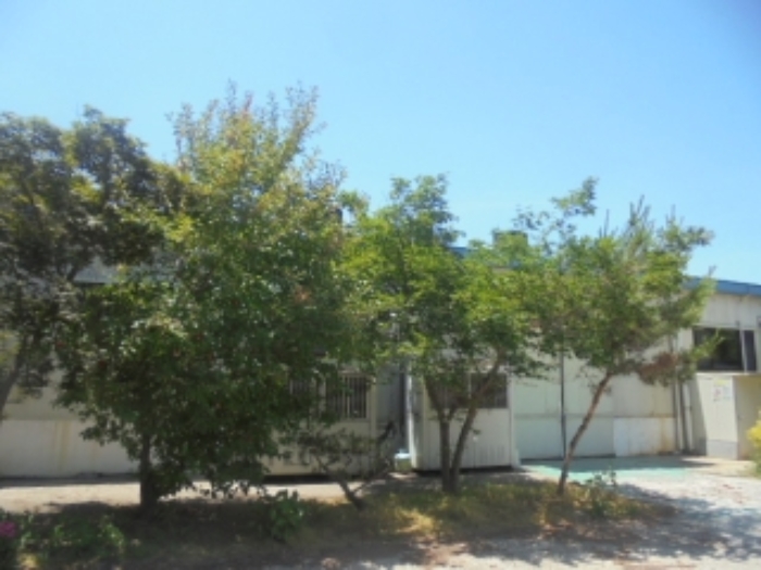 목적물 1번에 조경수(제시외)