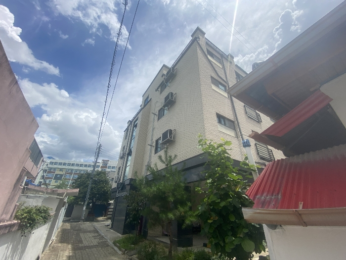 본건 및 토지포함 조경수