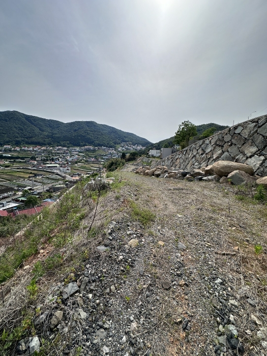 본건 토지 허가