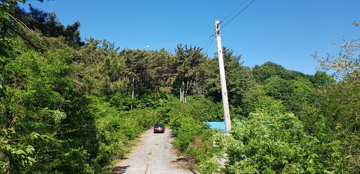 기호(1) 토지 전체 전경