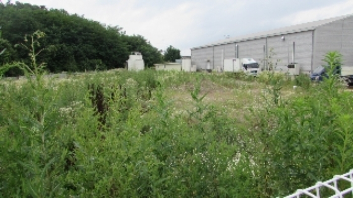 정녕리 953-5외 전경