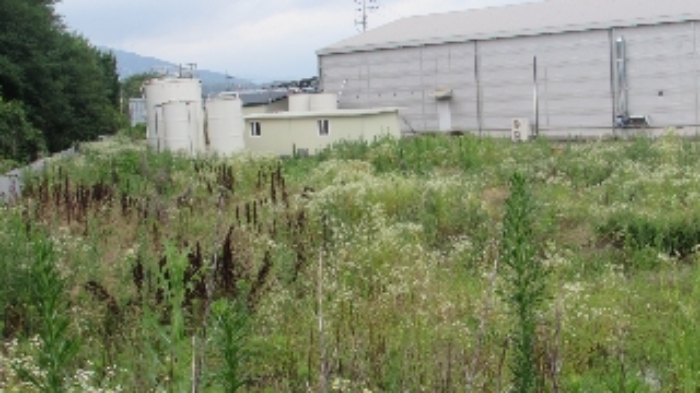 정녕리 908외 전경