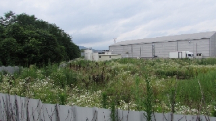 정녕리 908외 전경