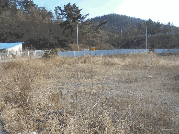 기호5,6 토지 전경