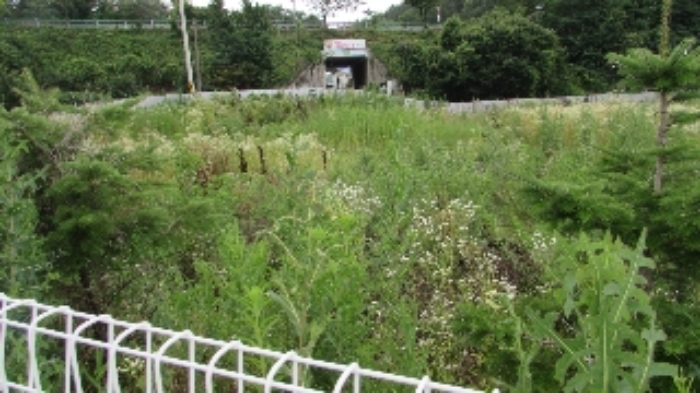 정녕리 909외 전경