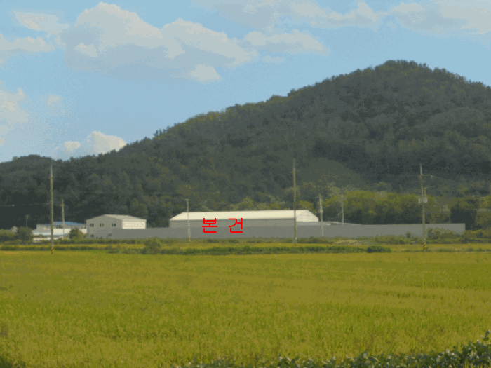 본건 및 주변 전경