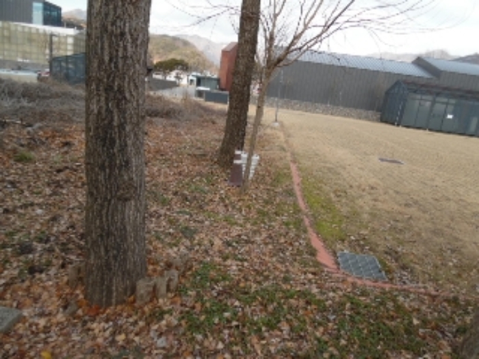 목록13. 토지(임야) 전경(2)