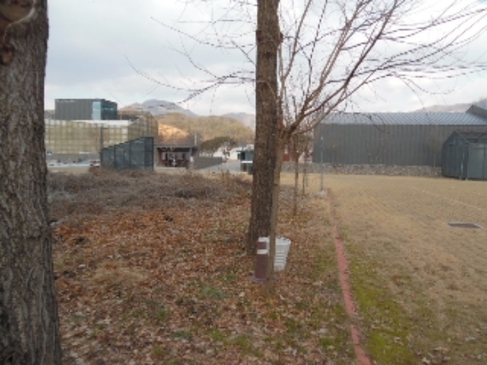 목록13. 토지(임야) 전경(3)