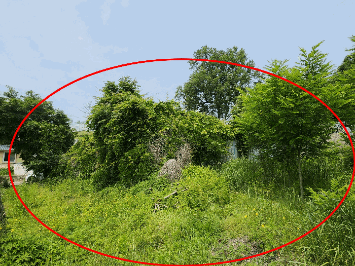 본건 전경 남동