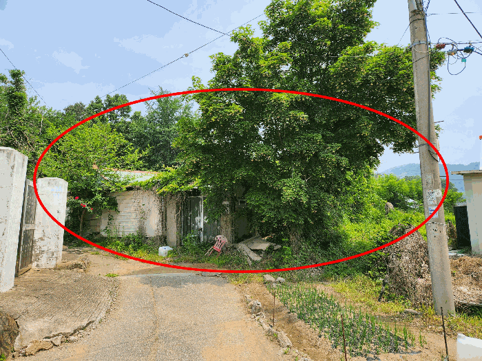 본건 전경 남서