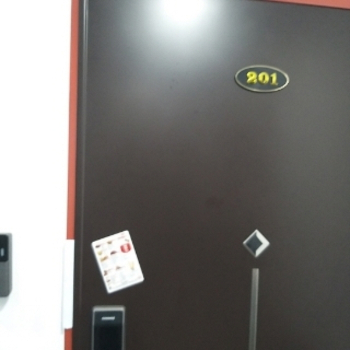 세대 출입문(201호)