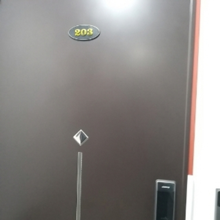 세대 출입문(203호)