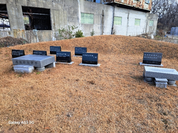 기호(10)토지상의 분묘 전경