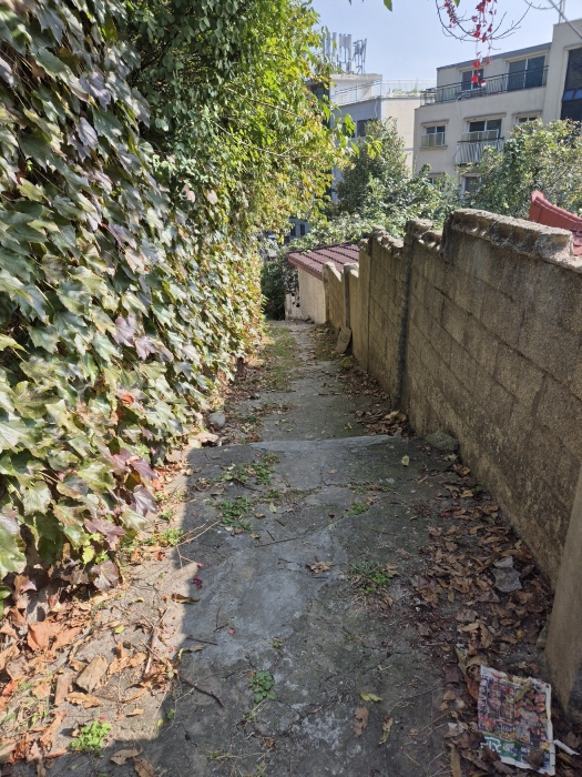 진입로(세로불): 본건 관습진입도로임.