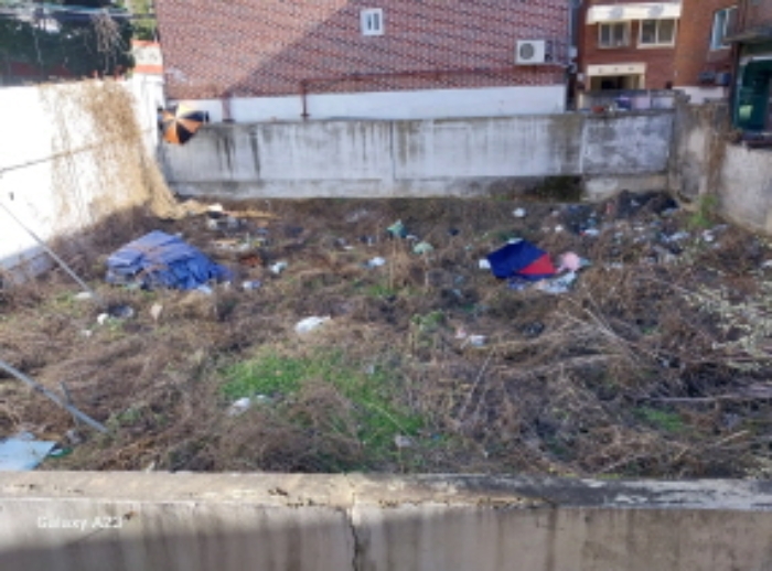 목적물의 전경(토지)