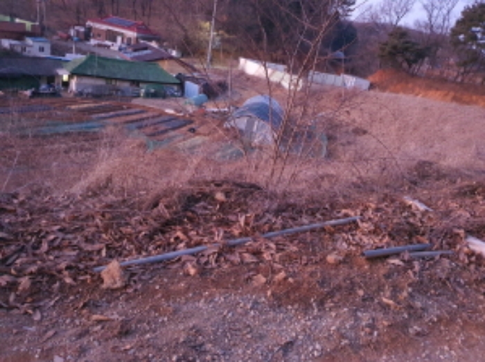 목록 4. 부동산 부근(목록 1. 부동산에 연속하며 잡초가 무성함)