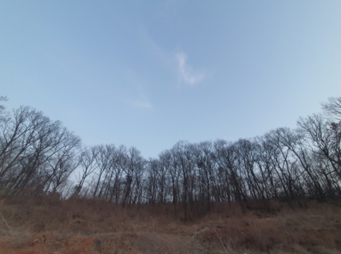 목록 5. 부동산 전경