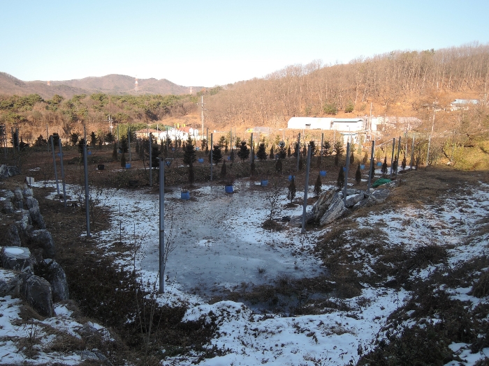 본건 전경(남서측에서 촬영)