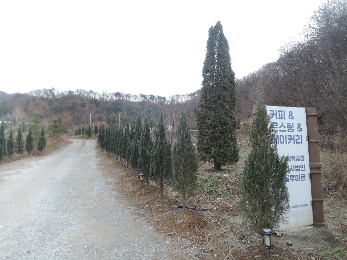 본건 전경(북동측 일부)