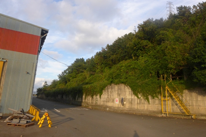 기호(3,5,6) 전경