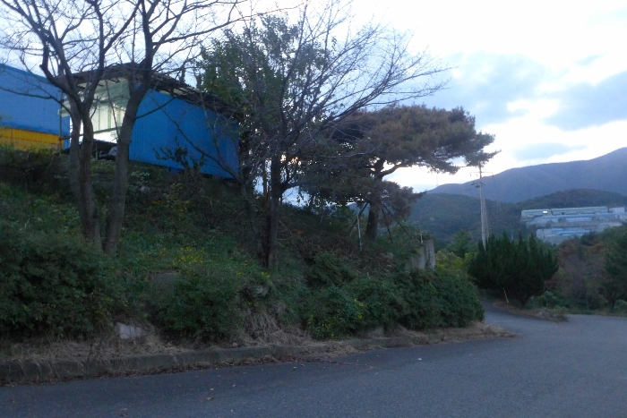 기호(13, 지상 조경수) 전경