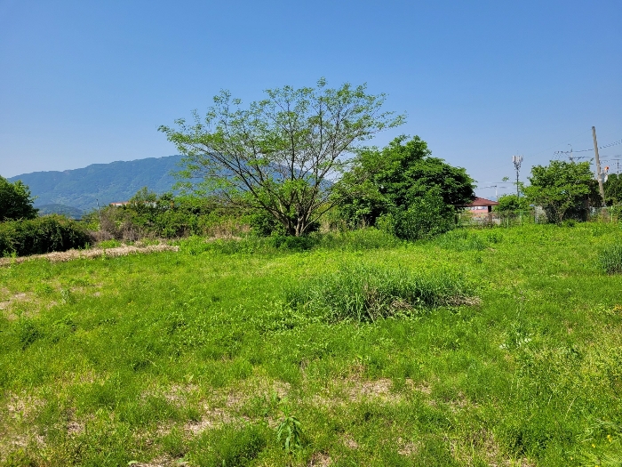 본건 기호 (1) 전경