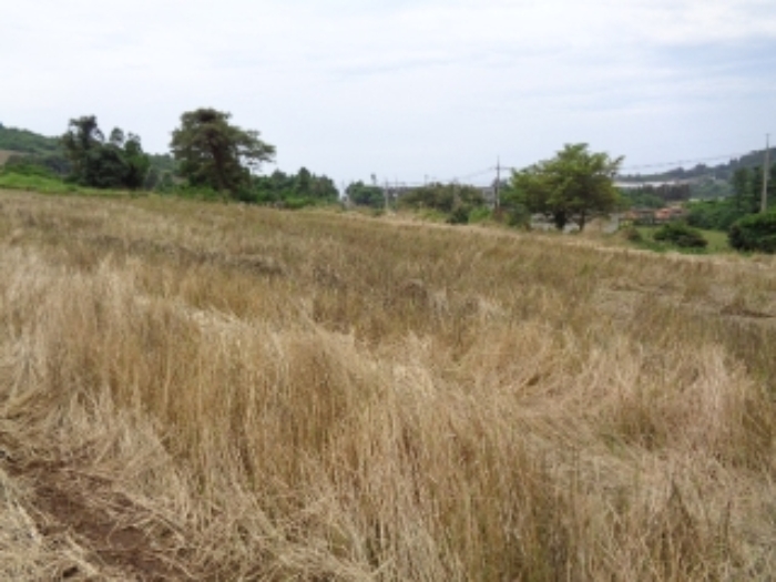 소재지9(감산리