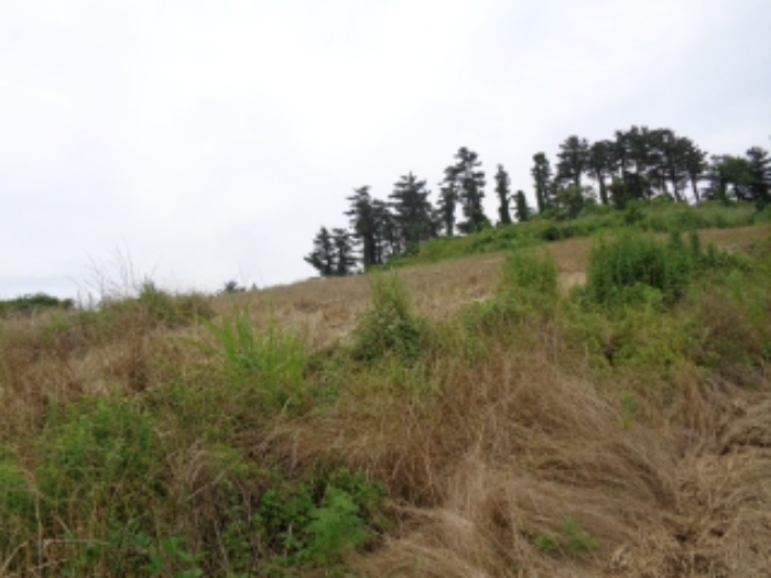 소재지9(감산리