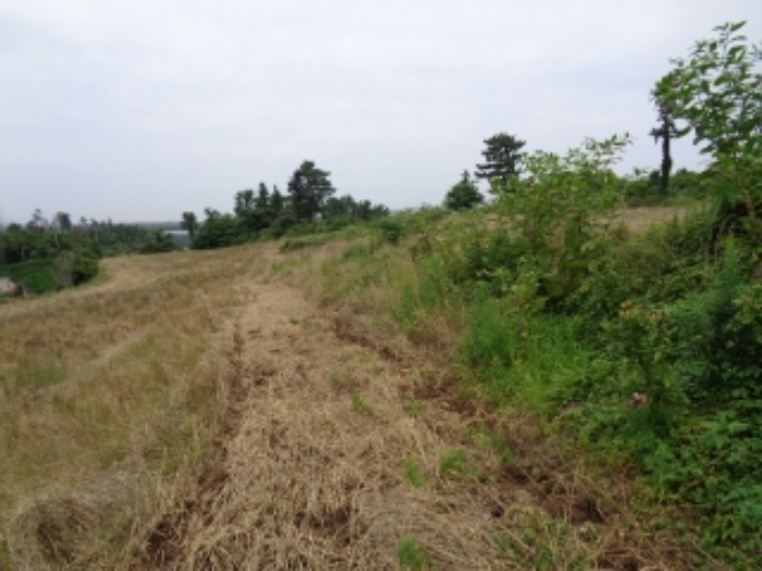 소재지9(감산리