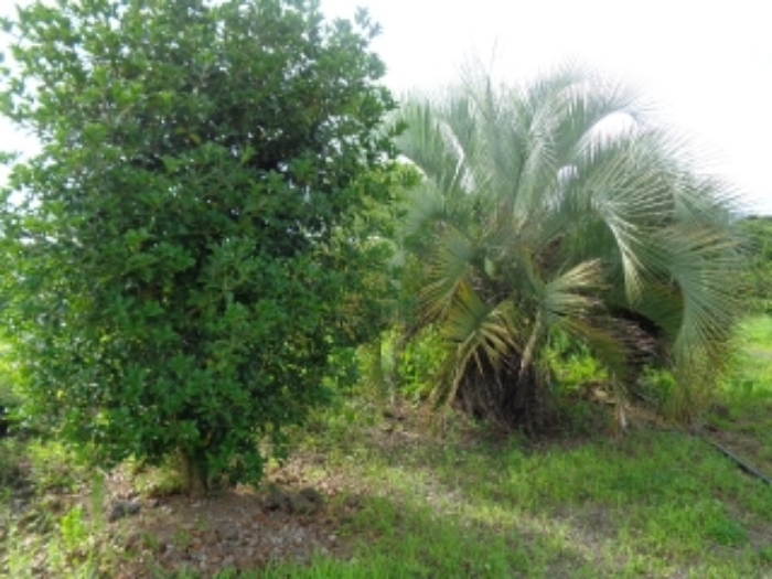 소재지7(금등리