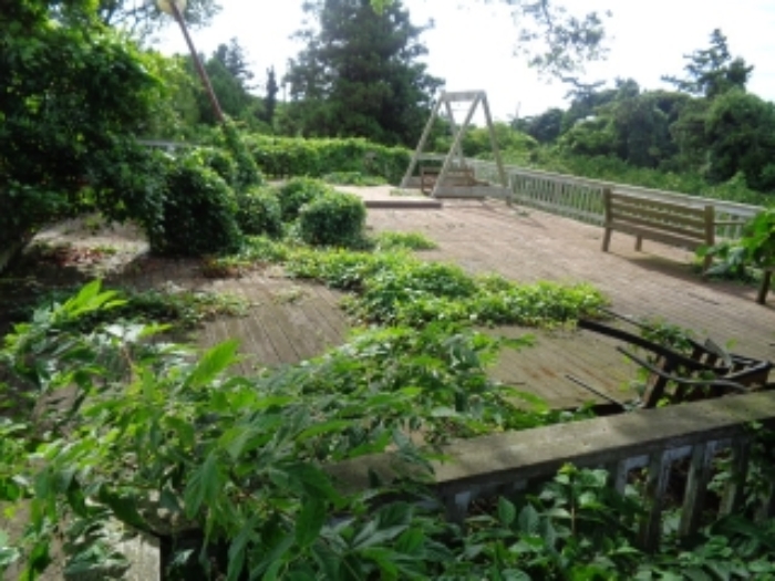 소재지7(금등리