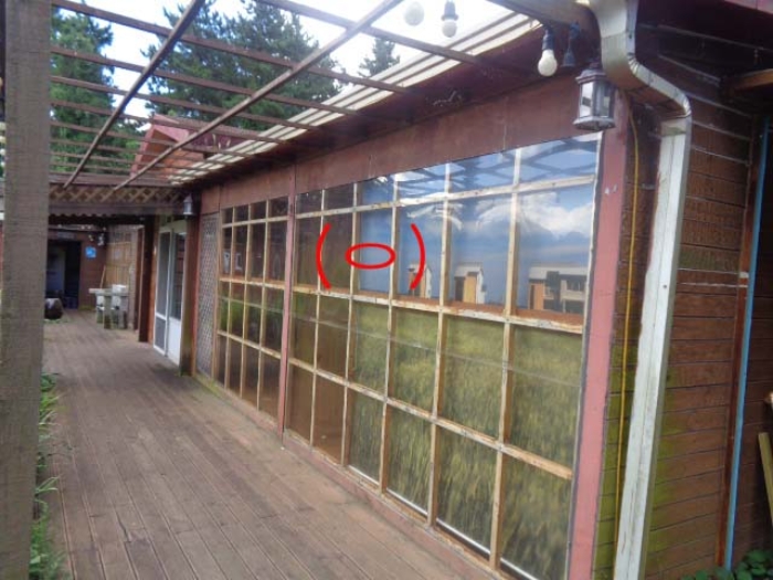 제시외 건물(ㅇ)