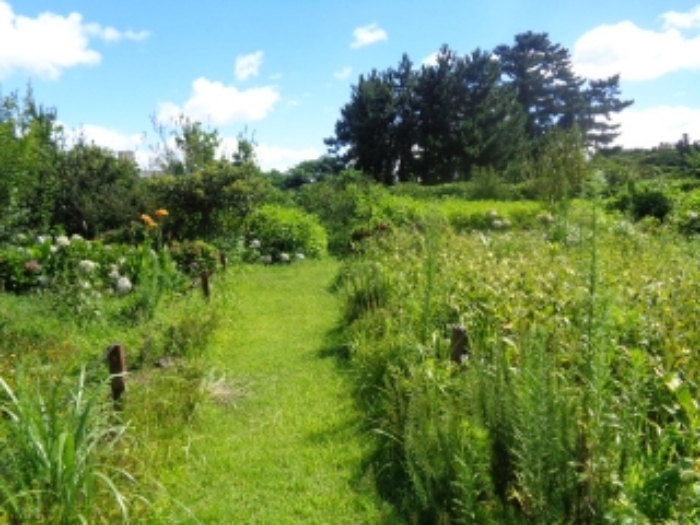 소재지1(유수암리 3040) 전경 사진