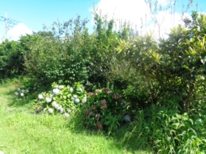 소재지1(유수암리 3040) 전경 사진