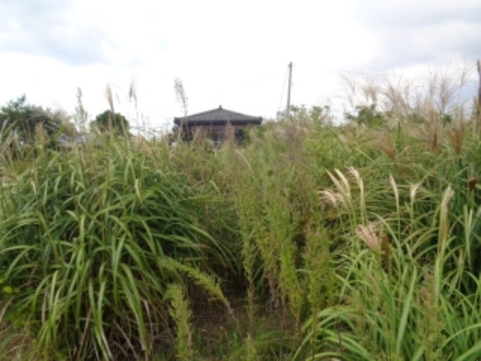 소재지2(동일리 2866) 전경 사진