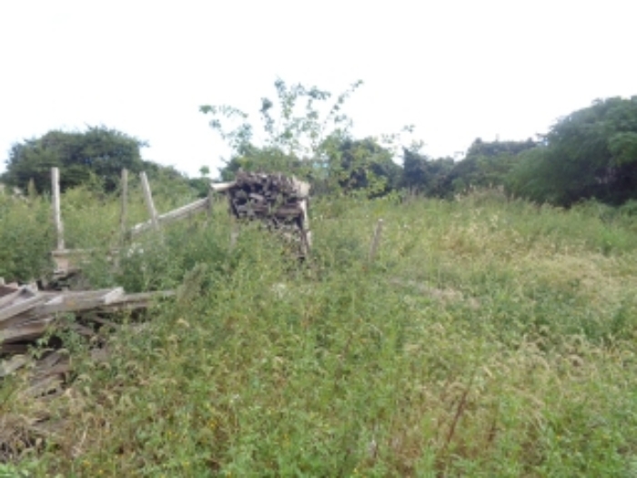 소재지3(동일리 2866-4) 전경 사진